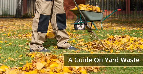 A Guide On Yard Waste