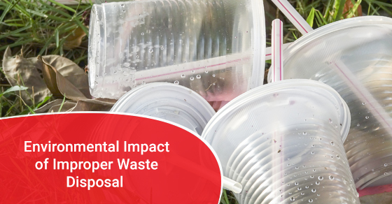 Environmental Impact of Improper Waste Disposal