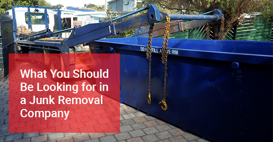 What You Should Be Looking for in a Junk Removal Company